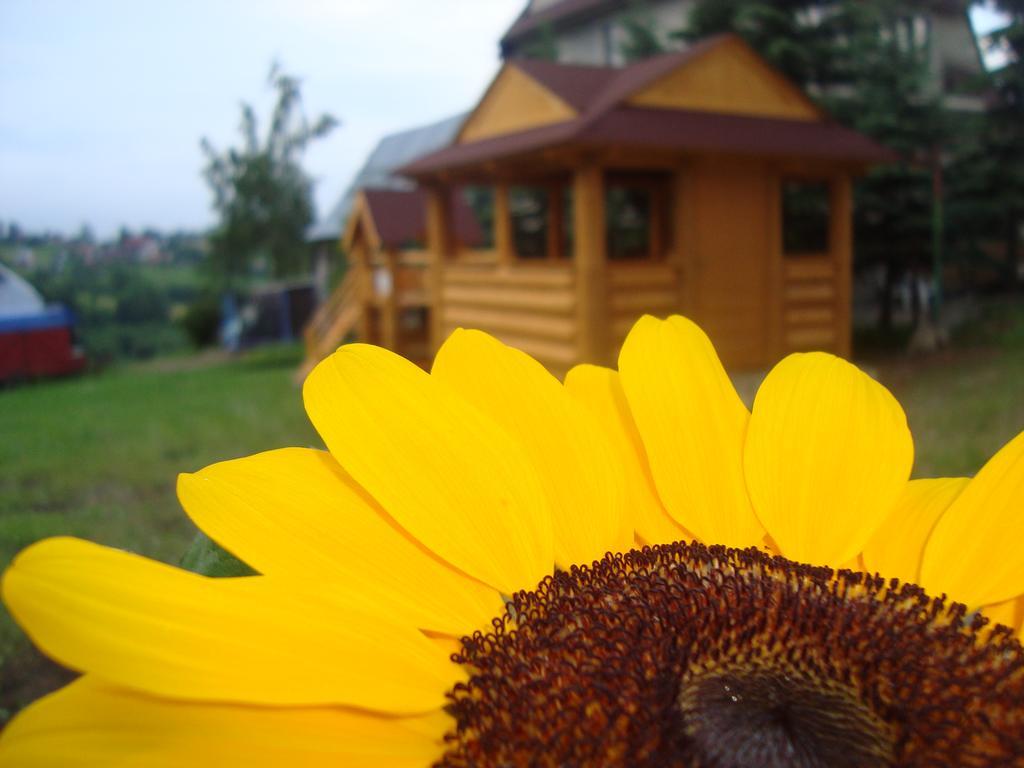 Apartamenty I Pokoje Pod Limbami - Sauna, Teznia Буковина Татжанска Екстериор снимка